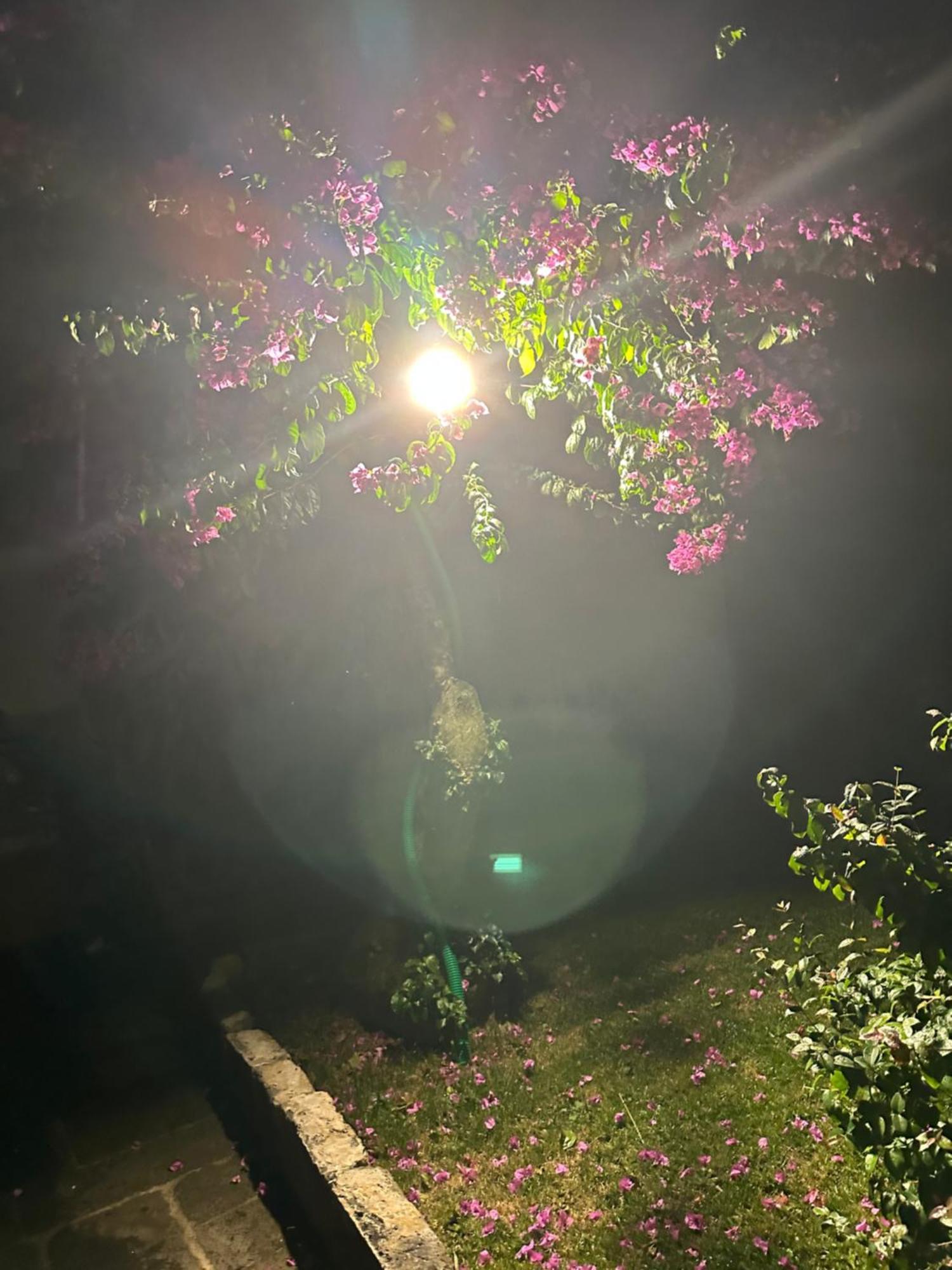 Solar Nossa Senhora Da Conceicao Villa Capelas Luaran gambar